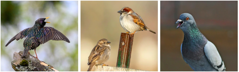 Snímka obrazovky 2025-07-10 o 14.53.26